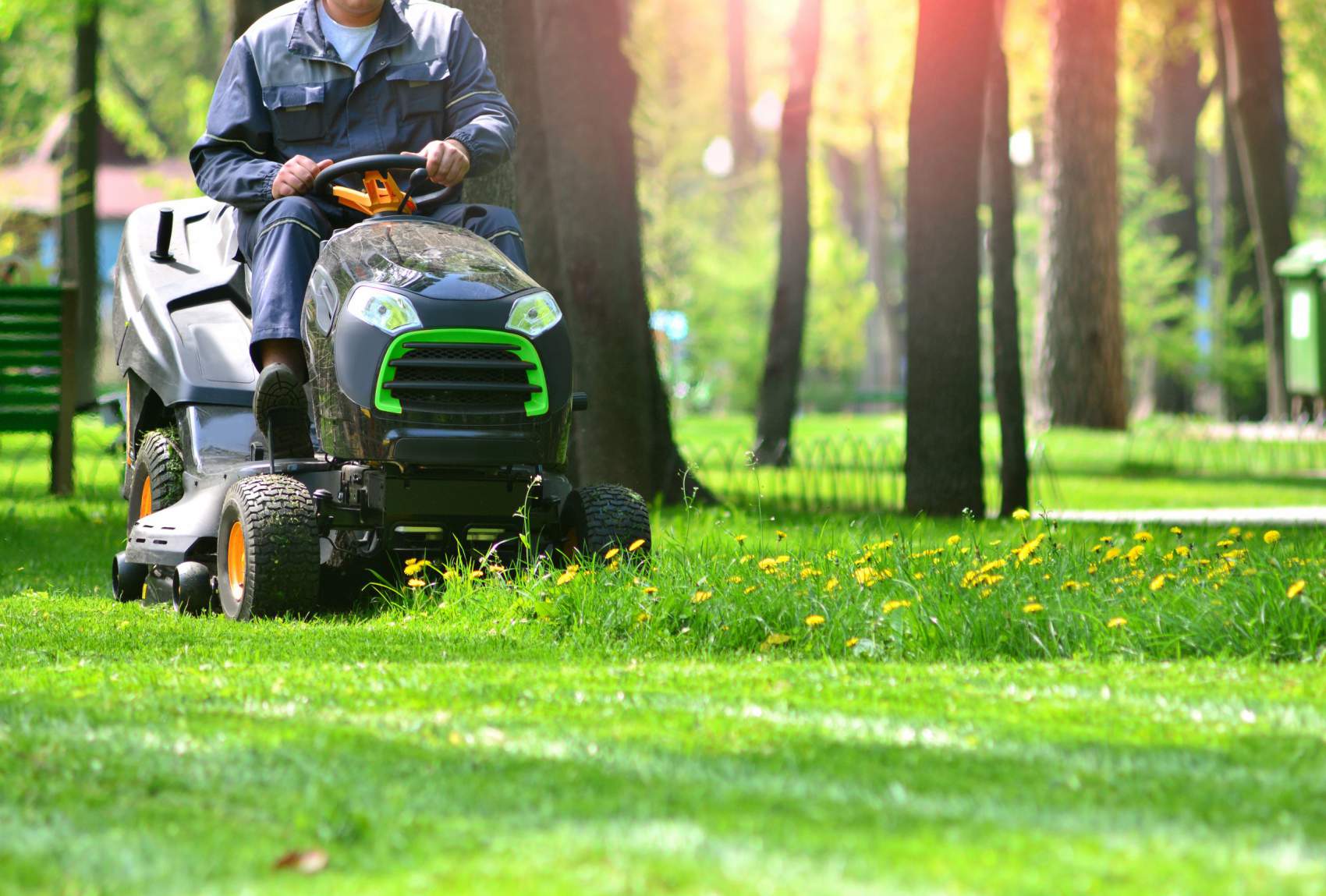 Lawn Care Services Denver CO Mowing Trimming Aeration More
